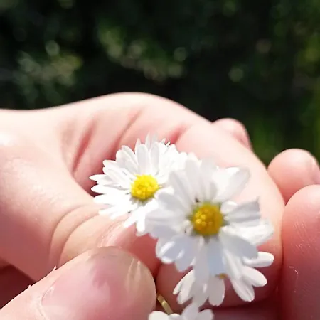 Relax In Nature, Agrotourism With Sea & Mountain Views, Emarmene Afantou