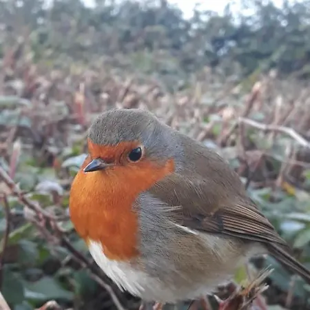 וילה Relax In Nature, Agrotourism With Sea & Mountain Views, Emarmene