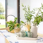 Exclusive Olive & Herb Villa, Mountain To Sea Views, Rhodes 빌라 *