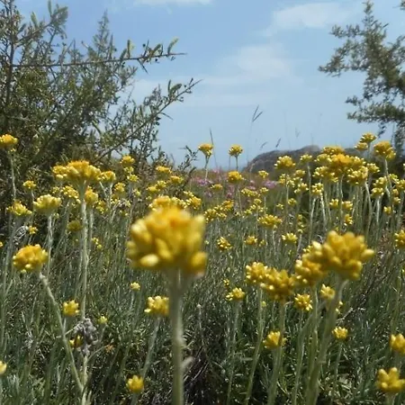 Relax In Nature, Agrotourism With Sea & Mountain Views, Emarmene ヴィラ *