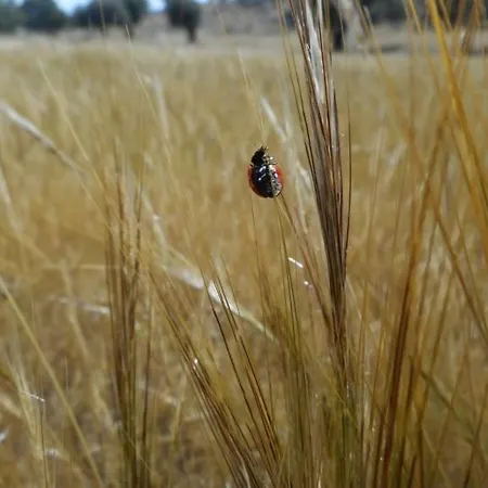 Villa Relax In Nature, Agrotourism With Sea & Mountain Views, Emarmene *