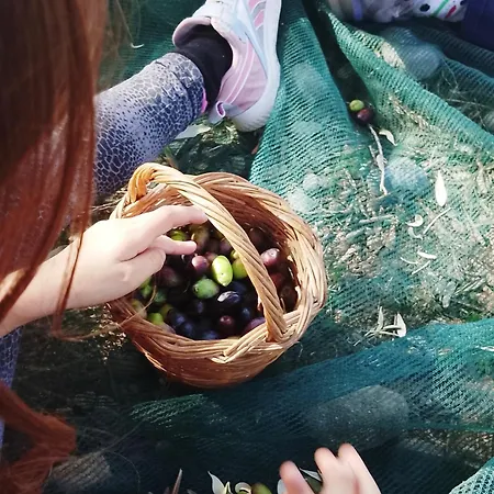 Relax In Nature, Agrotourism With Sea & Mountain Views, Emarmene ヴィラ *