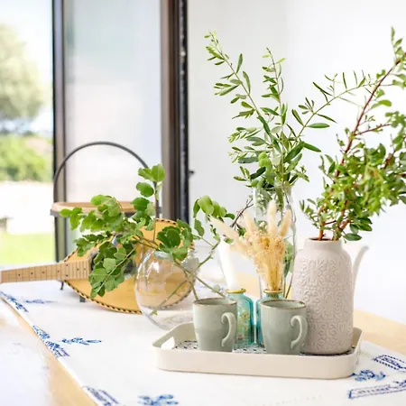 Exclusive Olive & Herb Villa, Mountain To Sea Views, Rhodes 빌라 *