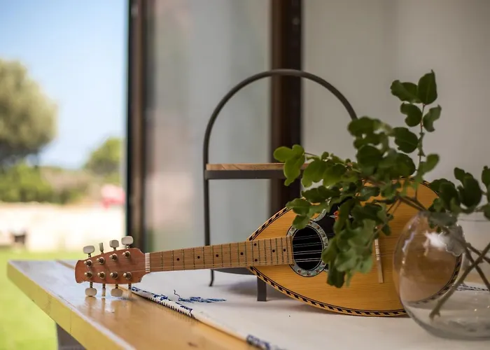 Exclusive Olive & Herb Villa, Mountain To Sea Views, Rhodes 别墅 *