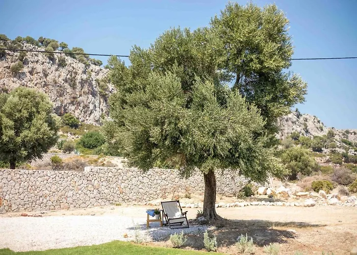 Exclusive Olive & Herb Villa, Mountain To Sea Views, Rhodes 别墅 *