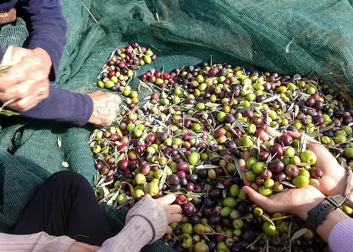 Exclusive Olive & Herb Villa, Mountain To Sea Views, Rhodes Вилла