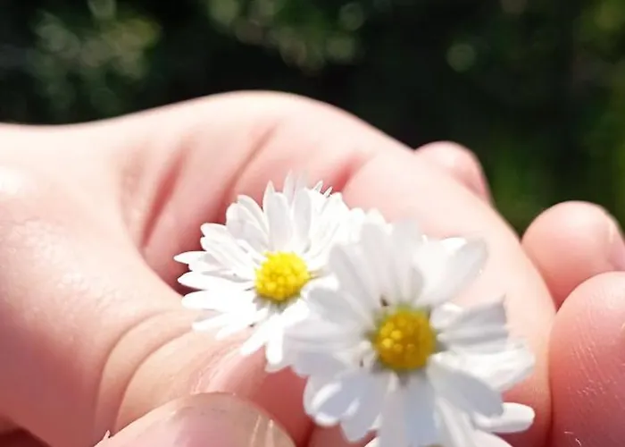 Exclusive Olive & Herb Villa, Mountain To Sea Views, Rhodes أفانتو