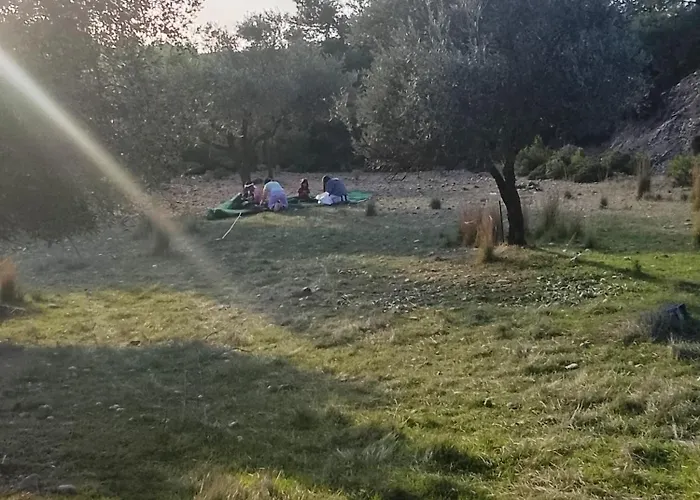 别墅 Exclusive Olive & Herb Villa, Mountain To Sea Views, Rhodes 阿凡投