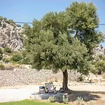 Exclusive Olive & Herb Villa, Mountain To Sea Views, Rhodes Villa *
